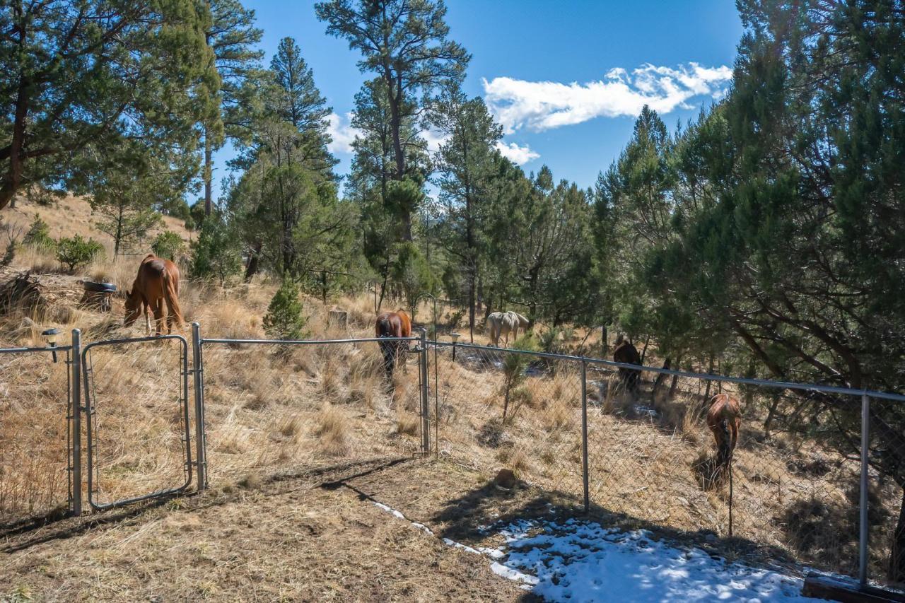 Howl At The Moon Villa Ruidoso Dış mekan fotoğraf