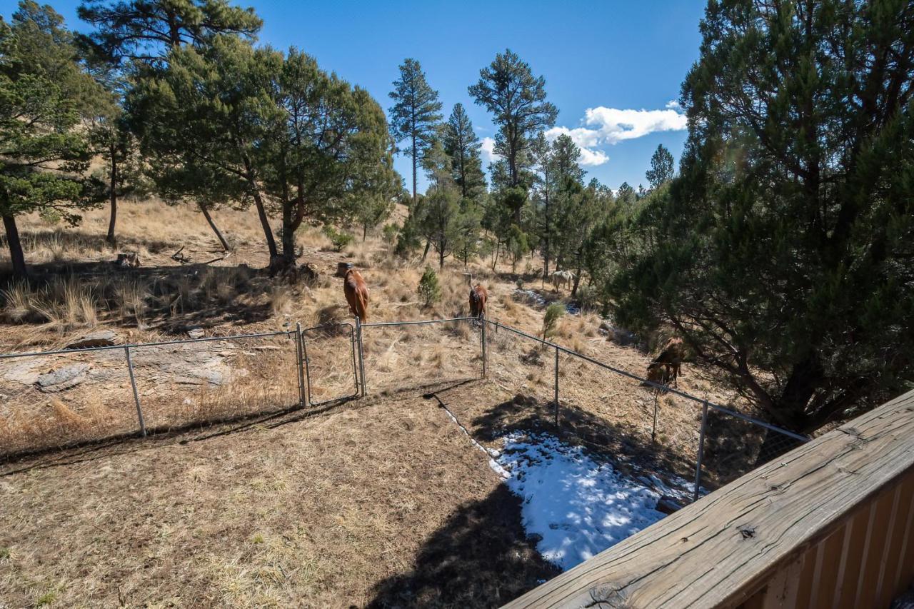 Howl At The Moon Villa Ruidoso Dış mekan fotoğraf